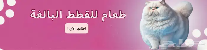 اكل قطط ورمل القطط ومستلزماتها بأسعار الجملة نتشرف فيكم 1