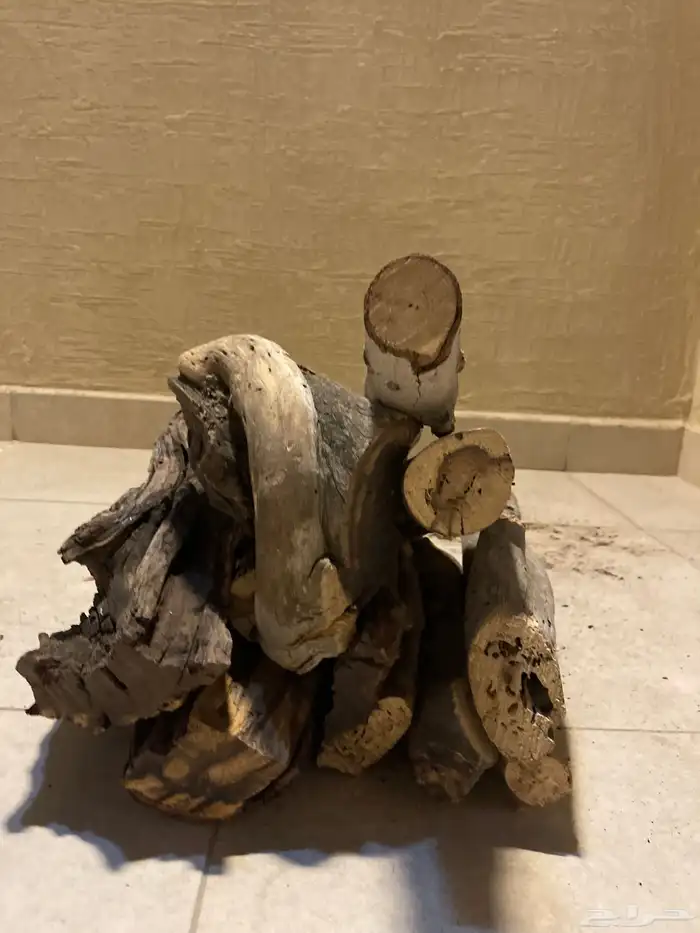 حطب مستورد افريقي ( نظامي ) جودة عالية واسعار تنافسية 0