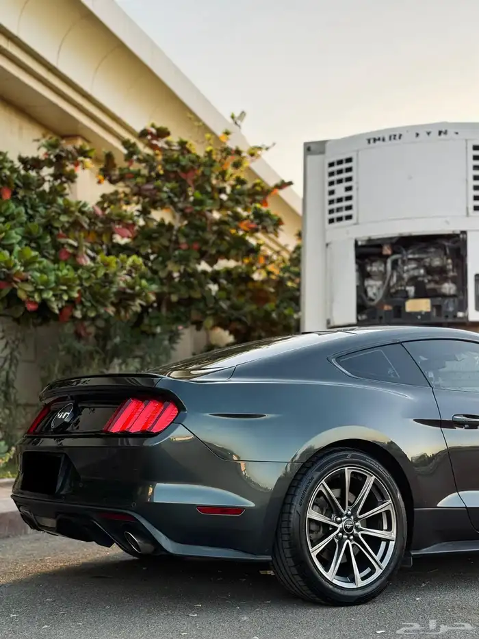 موستنج جي تي 2016 GT (تم البيع تم البيع) 9