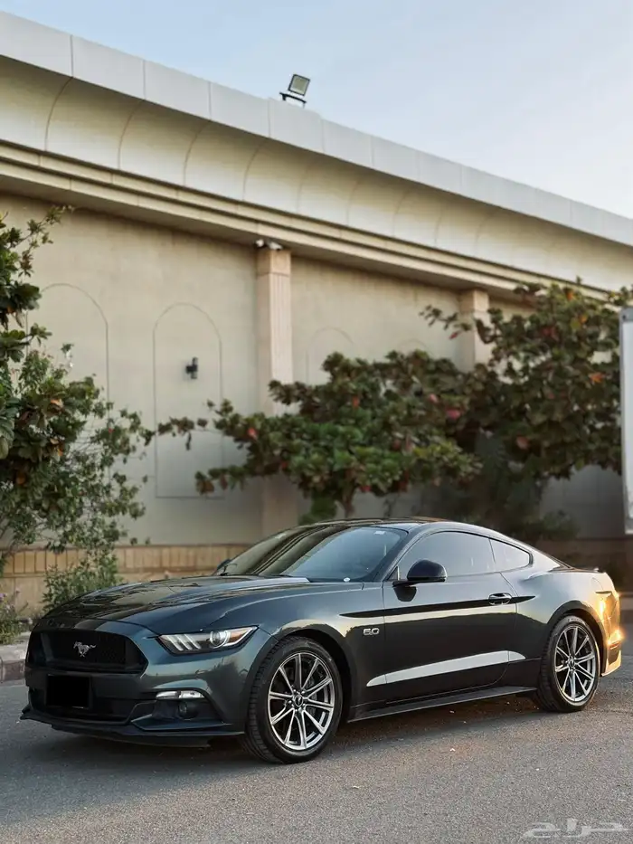 موستنج جي تي 2016 GT (تم البيع تم البيع) 5