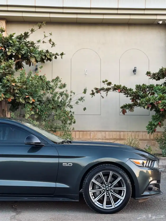 موستنج جي تي 2016 GT (تم البيع تم البيع) 2
