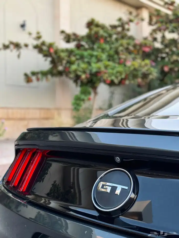 موستنج جي تي 2016 GT (تم البيع تم البيع) 8