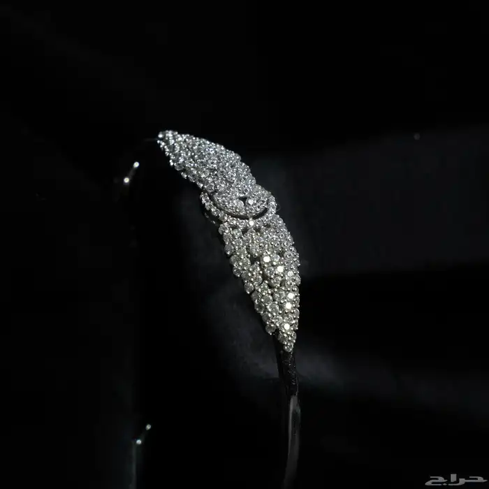 تصوير منتجات 0