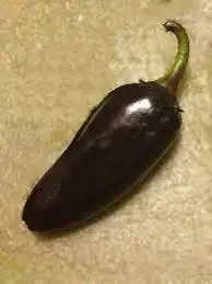 هالابينو الاسود النادر 1