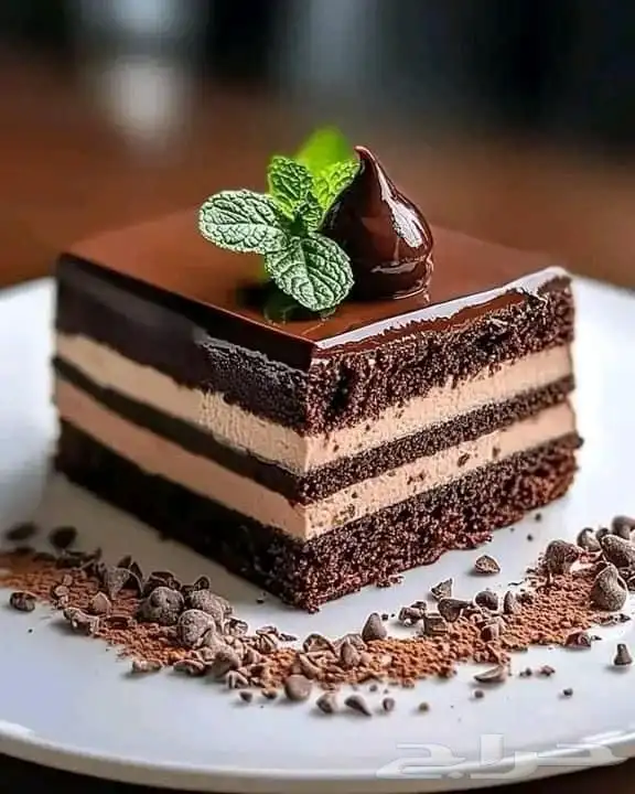 اذا مشروعك محتاج شيف وخطط تسويقيه 62