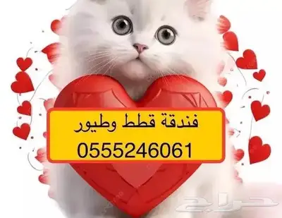 فندقة قطط وطيور وقت سفرك 6061 24 0555 الرياض 0