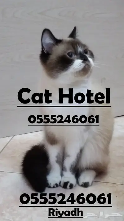 فندقة قطط وطيور وقت سفرك 6061 24 0555 الرياض 1
