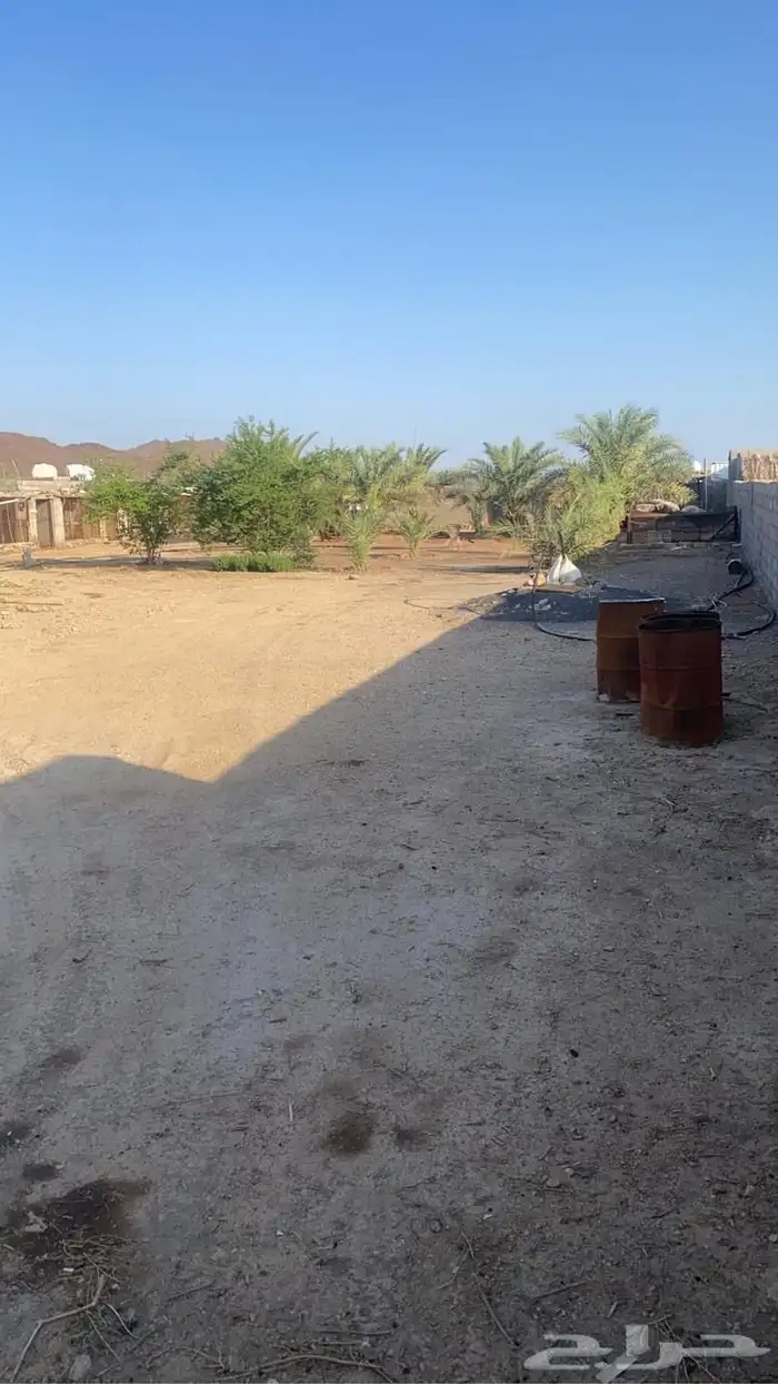 للبيع حوش في طريق حائل 8