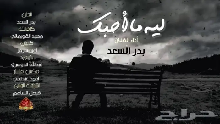 مصمم شيلات من مصمم فيديو احترافي 3