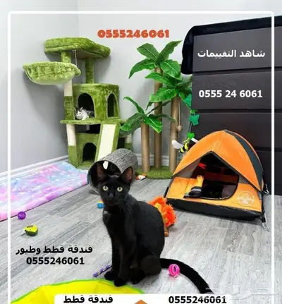 فندقة قطط وطيور وقت سفرك 6061 24 0555 الرياض 2