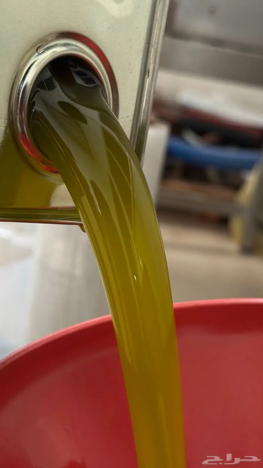 عروض زيت زيتون الجوف بكر عصرة أولى على البارد من مزارعنا 0