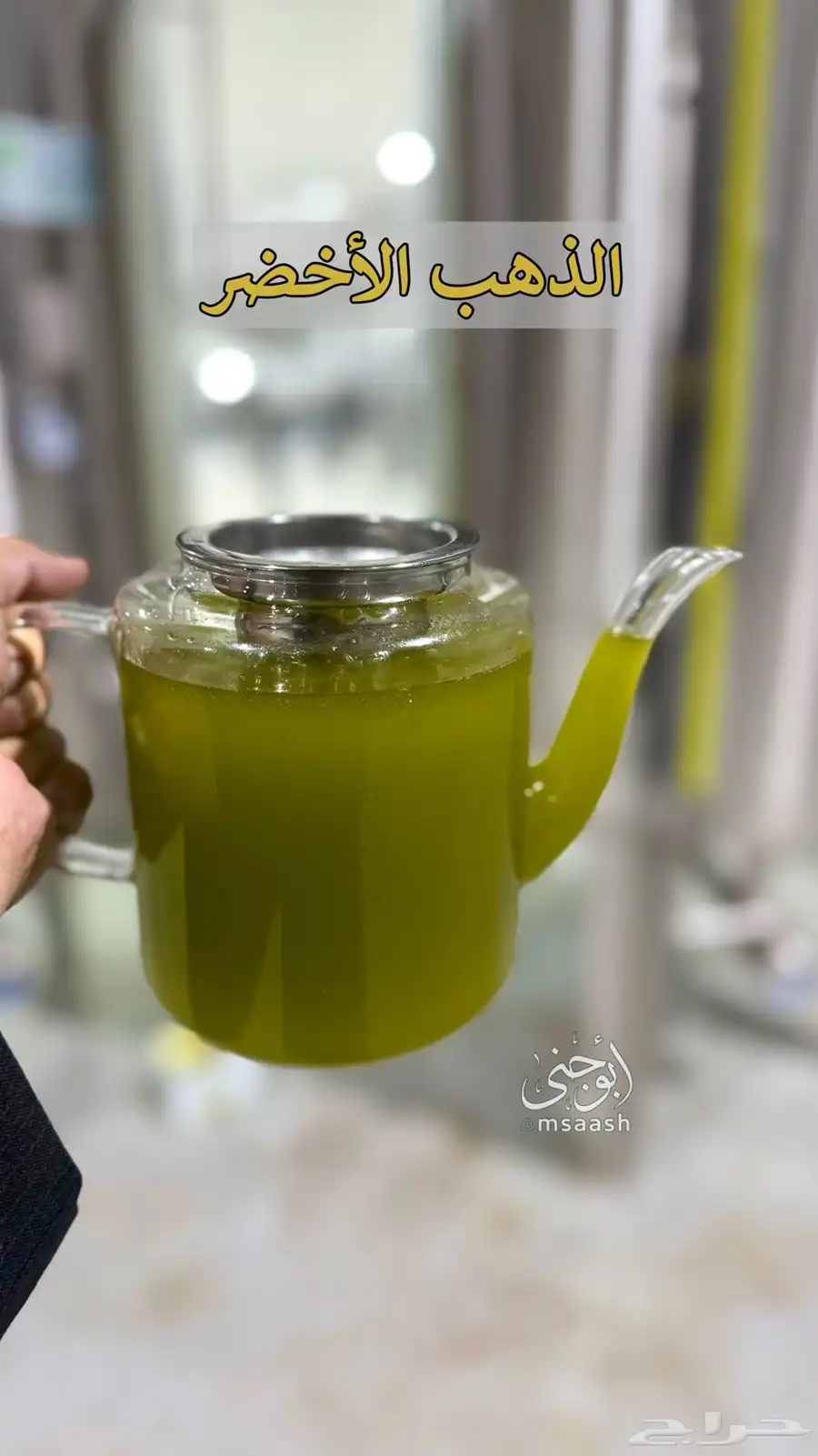 عروض زيت زيتون الجوف بكر عصرة أولى على البارد من مزارعنا 3