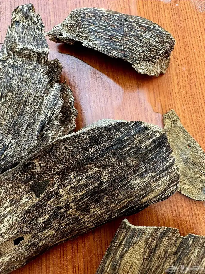 عود بخور سومطري 5