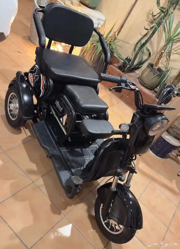 سكوتر كهربائي ثنائي مخزن 0