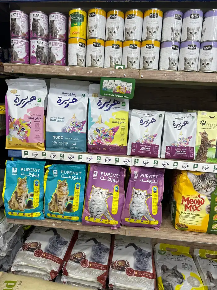 طيور تبوك 1