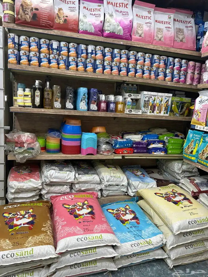 طيور تبوك 0