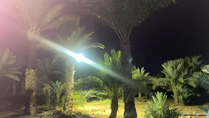 مخيم متكامل الخدمات مع استراحه داخل مزرعه للايجار اليومي 0