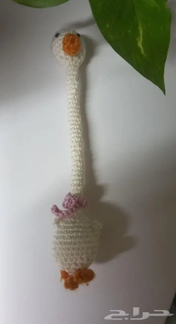 كورشيه ضفدع وبطه 1