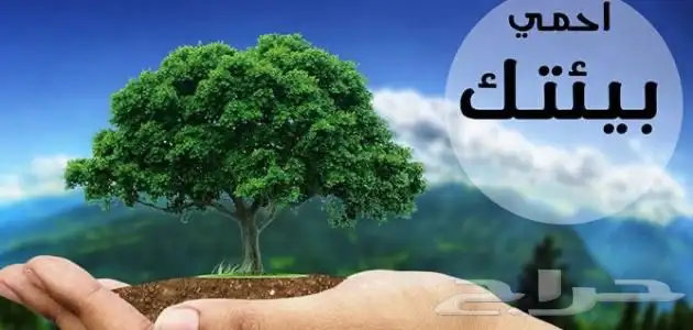 تقارير دراسات بيئيه لجميع المنشآت 0