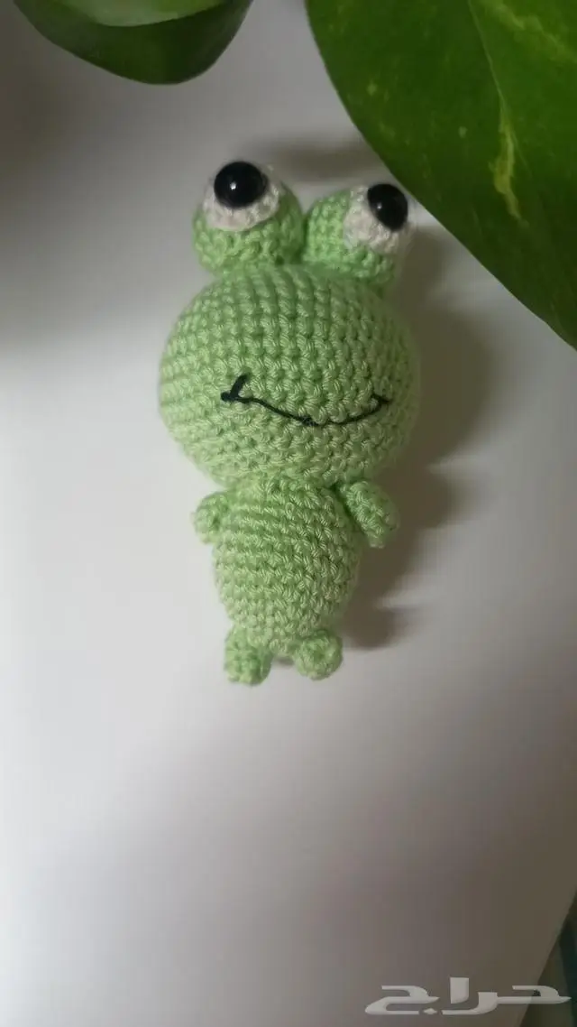 كورشيه ضفدع وبطه 2