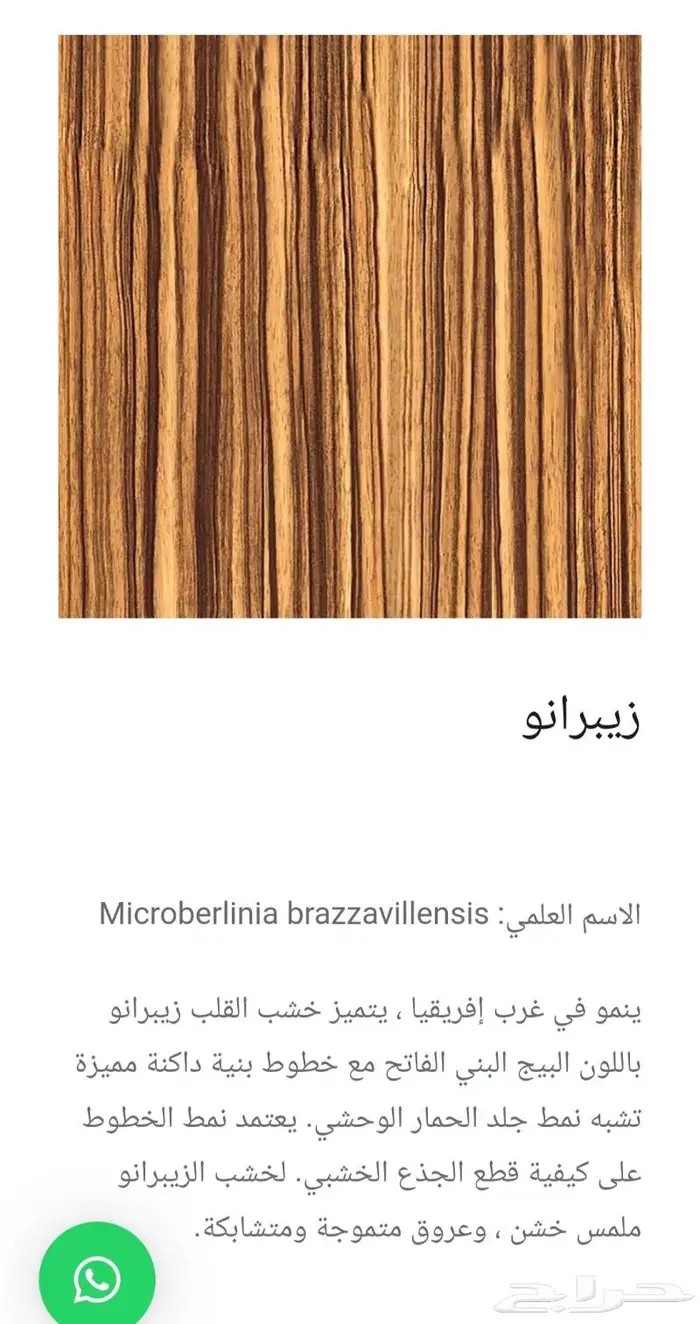 عود موسيقي بحريني درجة أولى 10