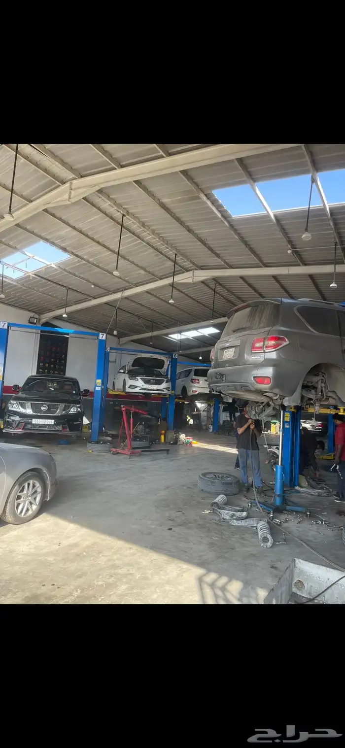 جلد استرالي جلد بنهارد جلد مقصات جلد رباطات 0