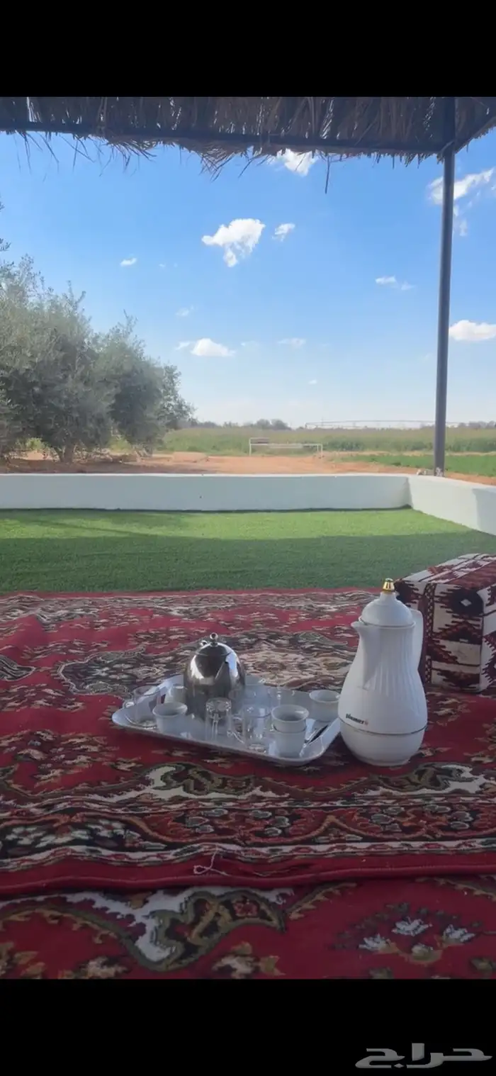 مخيم مزرعة ريف والبيت الريفي يوجد بركة سباحة للإيجار اليومي 13