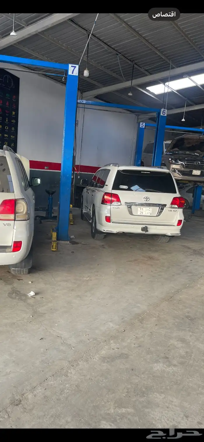 جلد استرالي جلد بنهارد جلد مقصات جلد رباطات 2