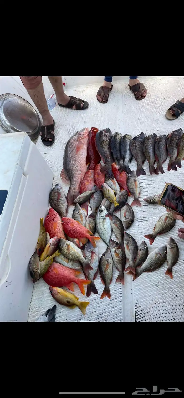 تنظيم رحلات قوارب صيد ونزهة باقل الاسعار 1