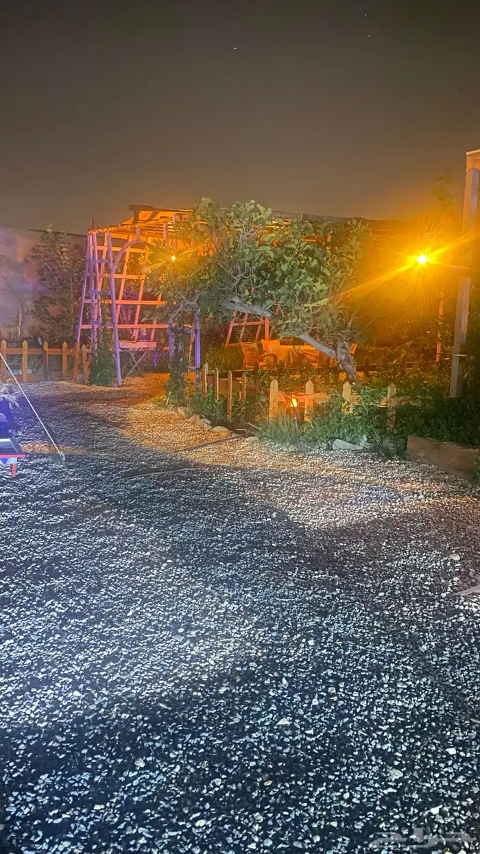 كرفان امريكي للايجار اليومي 46