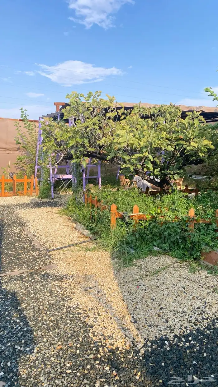 كرفان امريكي للايجار اليومي 22