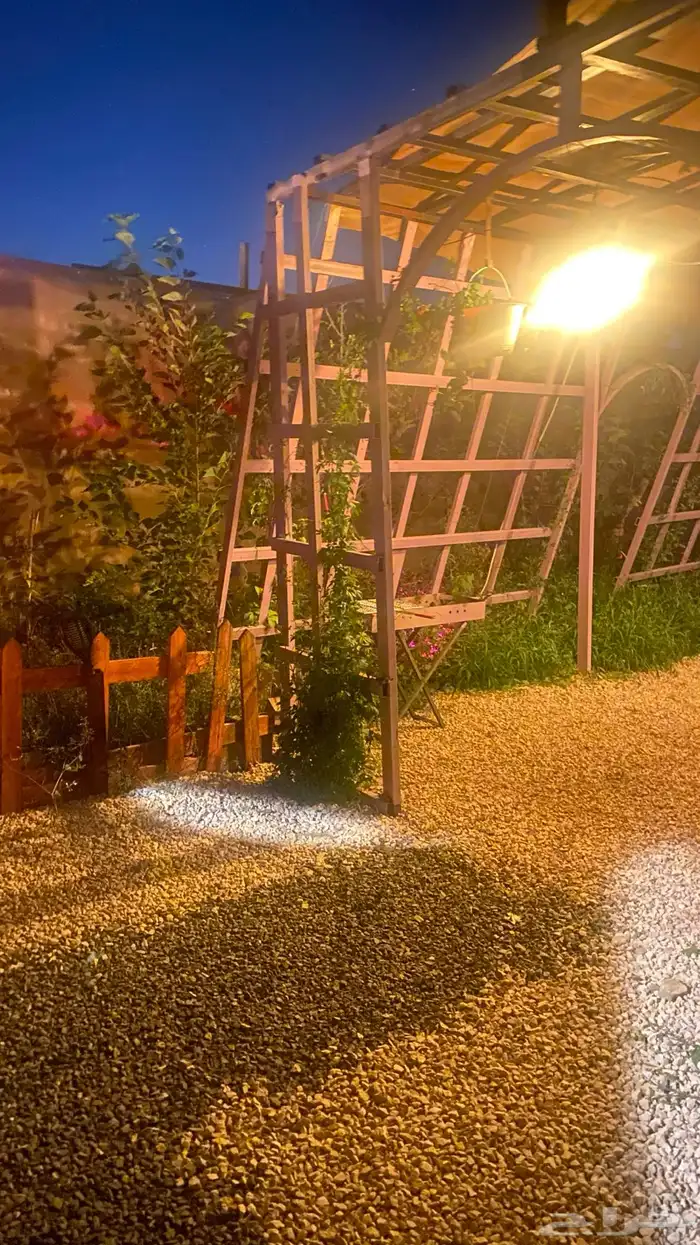 كرفان امريكي للايجار اليومي 43