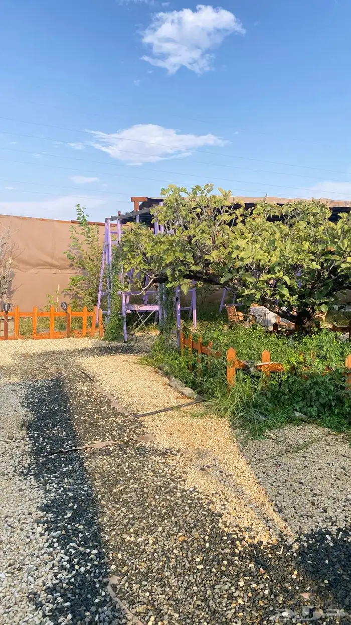 كرفان امريكي للايجار اليومي 21