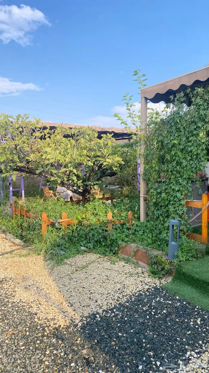 كرفان امريكي للايجار اليومي 25