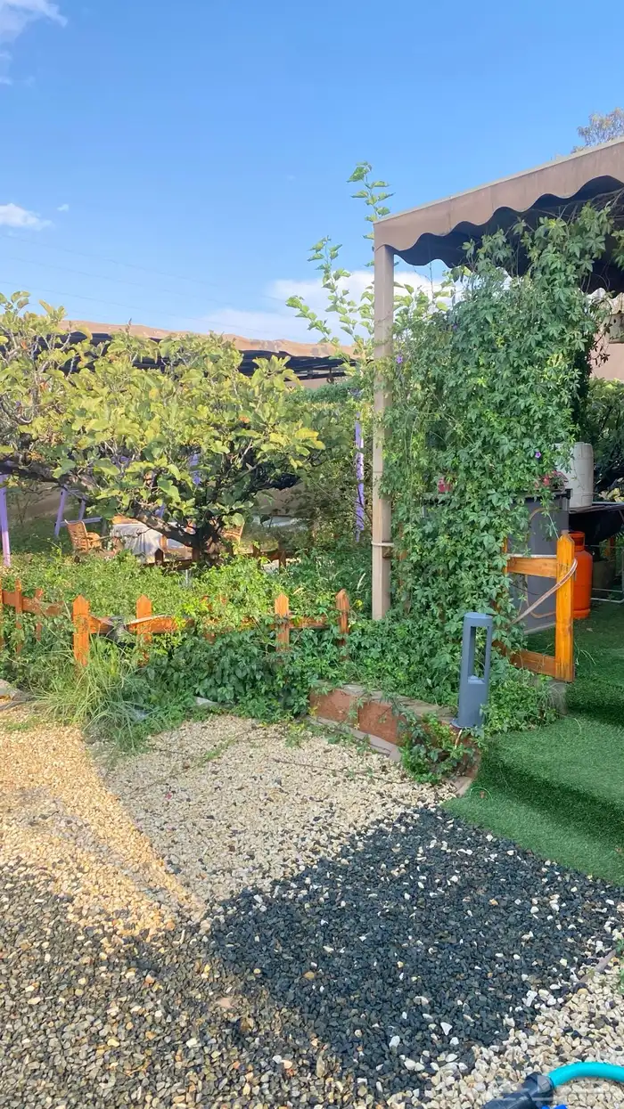 كرفان امريكي للايجار اليومي 24