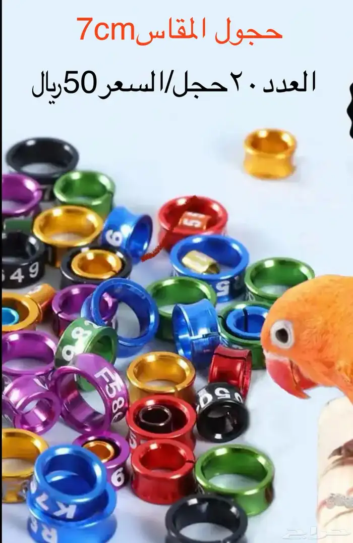 مجاثم خشبية 12