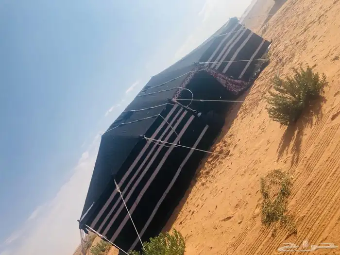 لبيع بيوت الشعر 9
