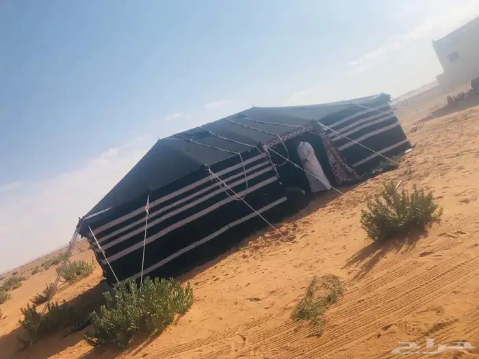 لبيع بيوت الشعر 8