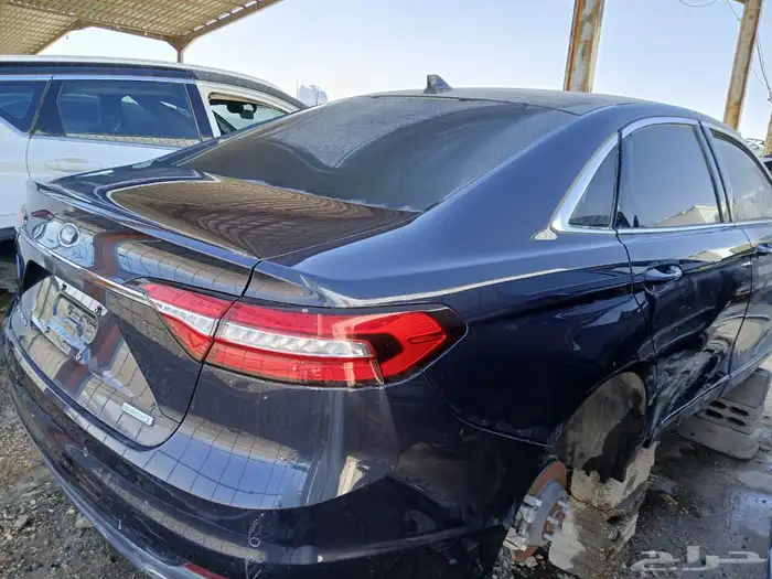 فرد تورس 2020تشليح الجزيره 1