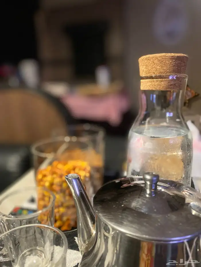 كرفان امريكي للايجار اليومي 41