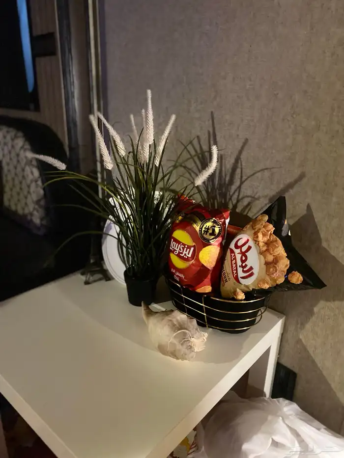 كرفان امريكي للايجار اليومي 38