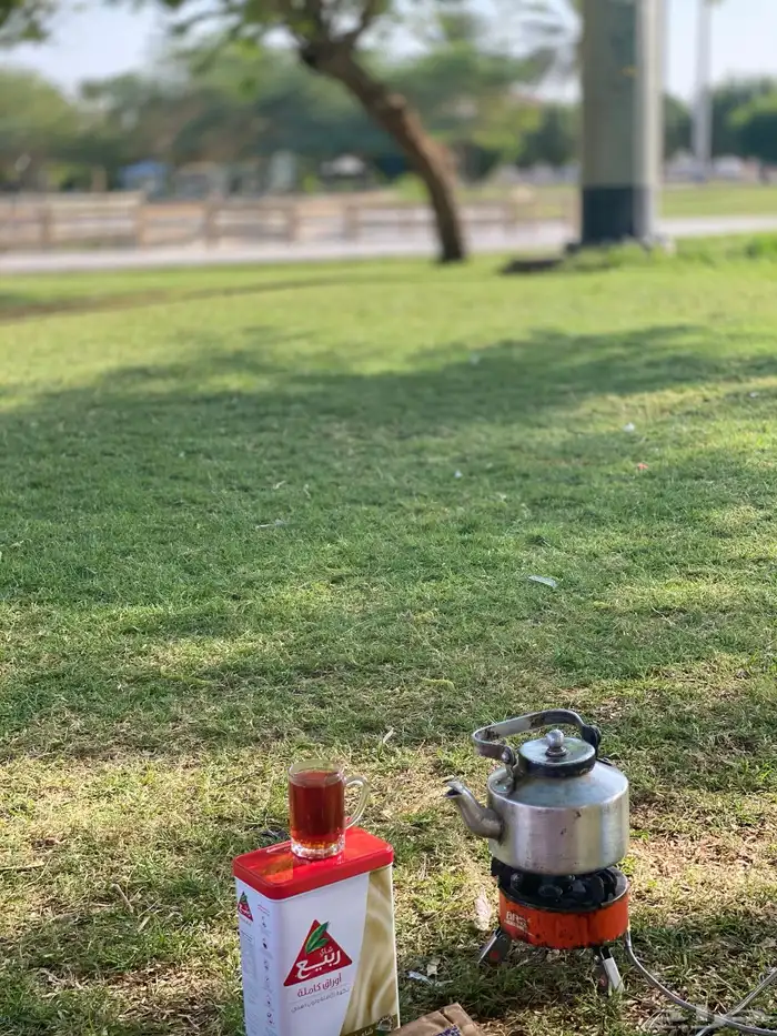 شاهي ربيع الذهبي 1