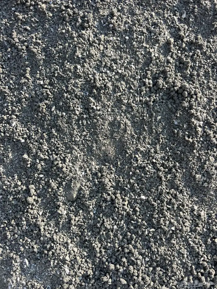 طرطشة الخمرة 0