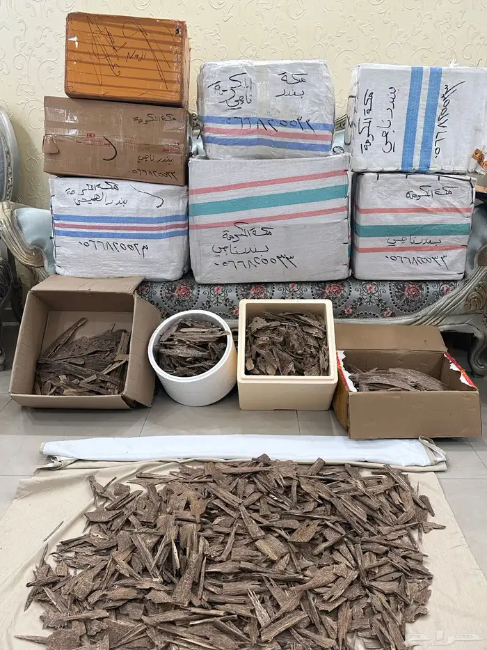 عود الكلمنتان الطبيعي صفائح وزن ثقيل 9