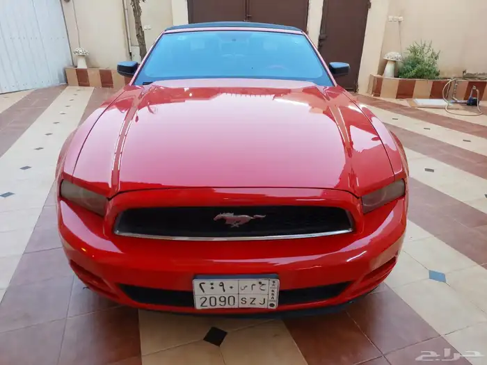 موستنج 2014 5