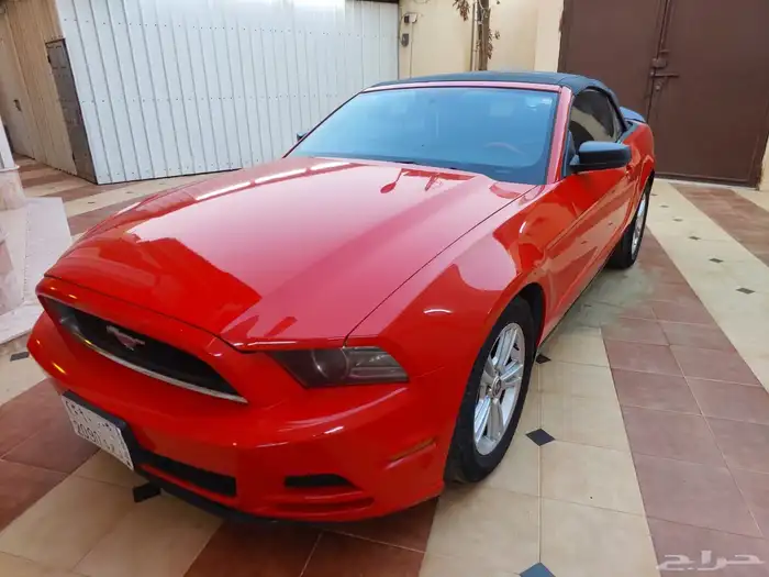 موستنج 2014 6