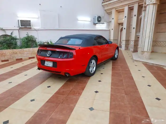 موستنج 2014 2