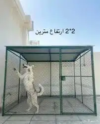 قفص شبك بقلاوه حضريه غرف طيور صندقه 4