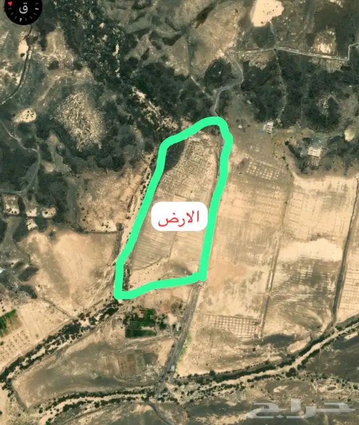 للبيع ارض زراعية في ابيار الماشي المدينة المنورة بسعر مغري 3