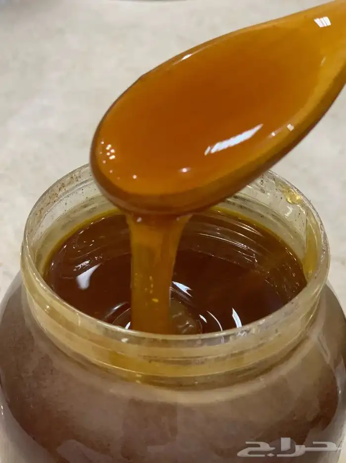 عسل سدر جبلي رجال المع انا المسائل على جودته امام الله 3